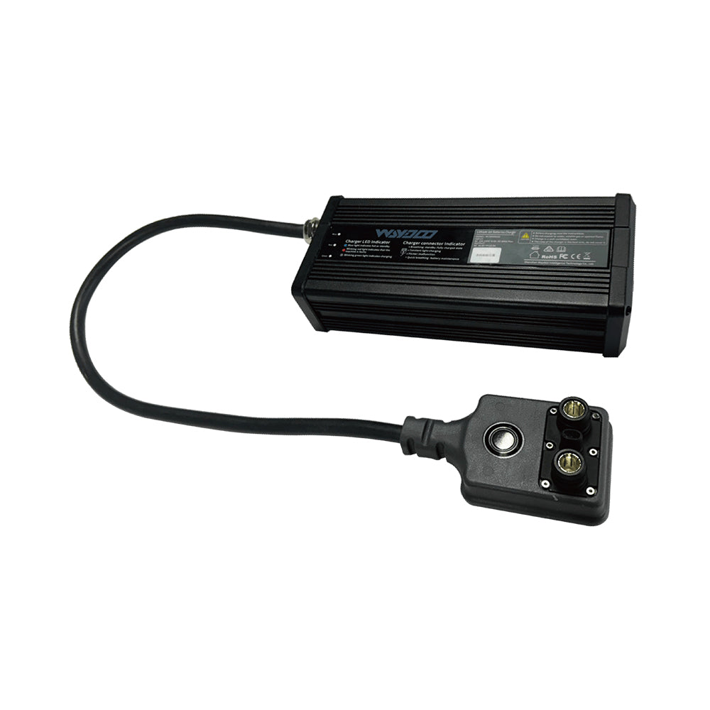 【予約】Waydoo Flyer EVO パワーフライトチャージャー 600W